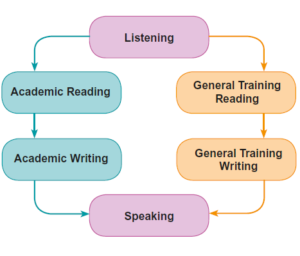 Cấu trúc đề thi IELTS