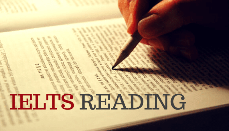 Chinh phục 7 dạng câu hỏi IELTS Reading thường gặp nhất
