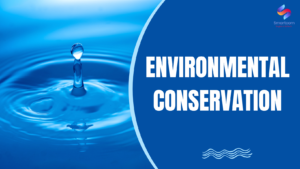 Từ vựng Reading IELTS (Environmental conservation)