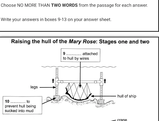 Ví dụ cho dạng bài Gap Filling IELTS Reading Diagram completion