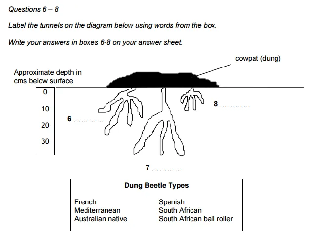 Diagram-Label-Completion