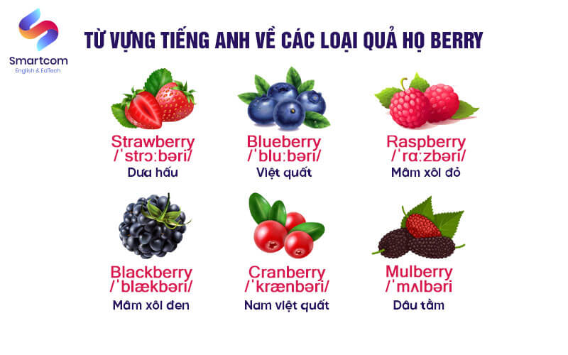 từ vựng tiếng anh về các loại quả berry