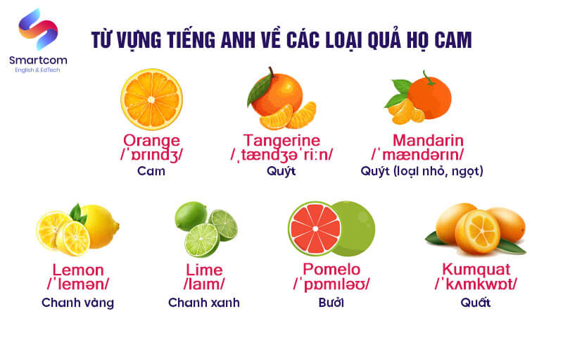 từ vựng tiếng anh về các loại quả họ cam