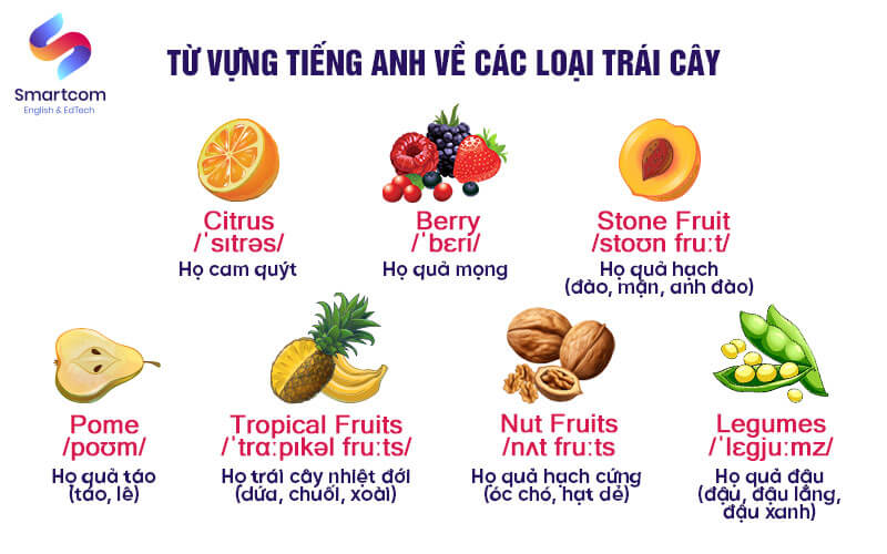 từ vựng tiếng anh về các loại trái cây