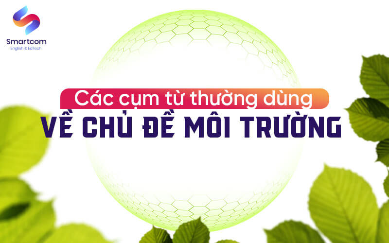 các cụm từ thường dùng về chủ đề môi trường