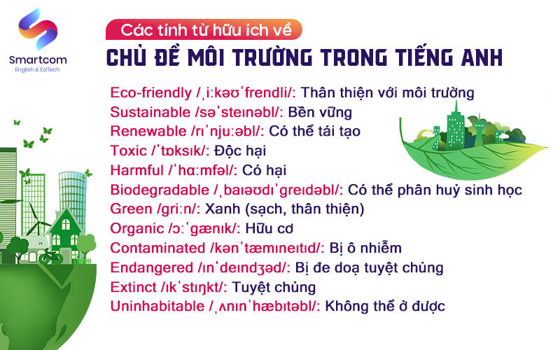 tính từ hữu ích trong tiếng anh về môi trường