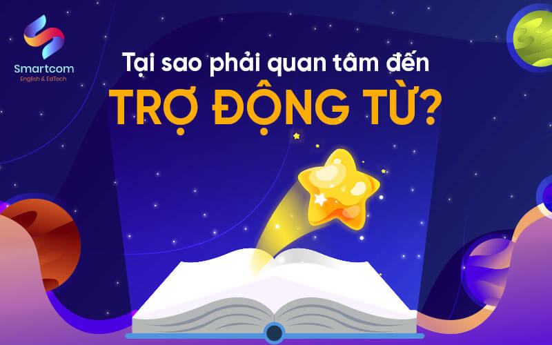 tại sao phải quan tâm đến trợ động từ