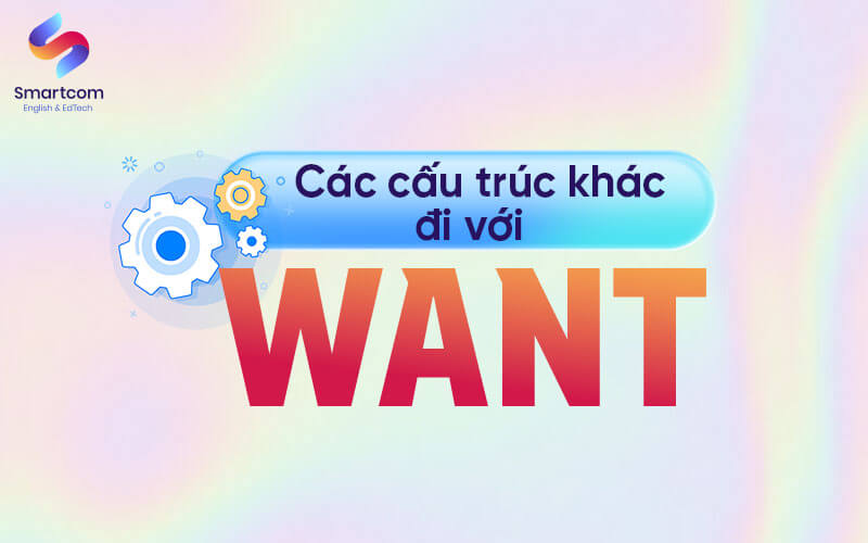 các cấu trúc khác đi với want