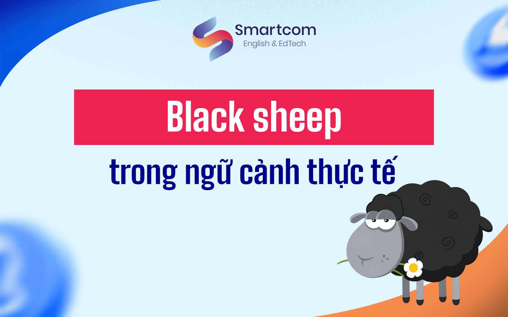 black sheep trong ngữ cảnh thực tế