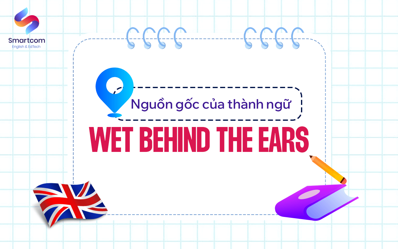 nguồn gốc thành ngữ wet behind the ears nguồn gốc thành ngữ wet behind the ears