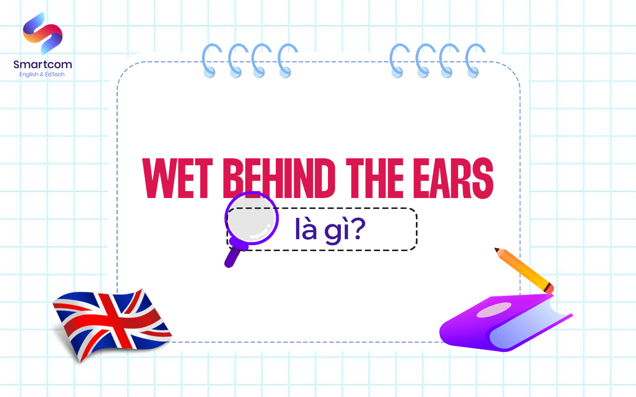 wet behind the ears là gì wet behind the ears là gì