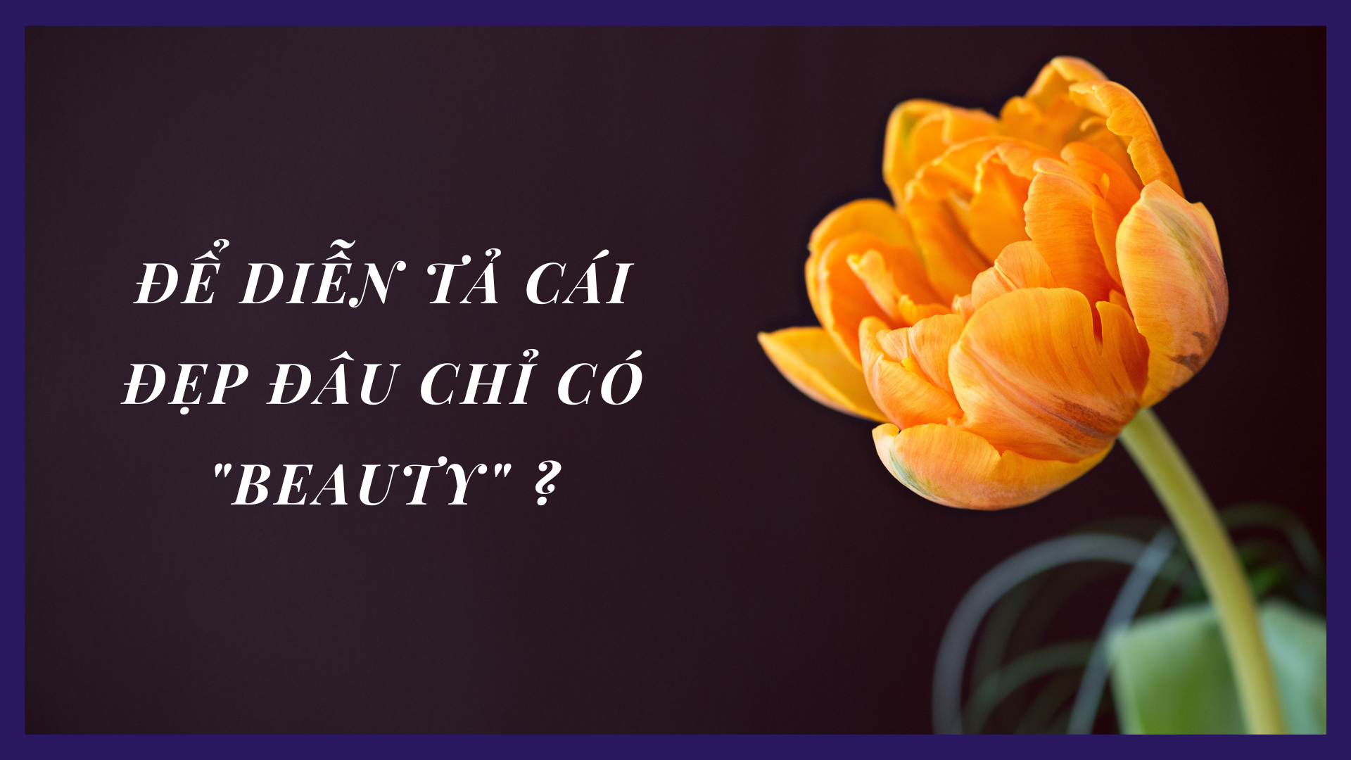 Ảnh nền đường dẫn điều hướng của bài viết Từ vựng chuyên đề BEAUTY